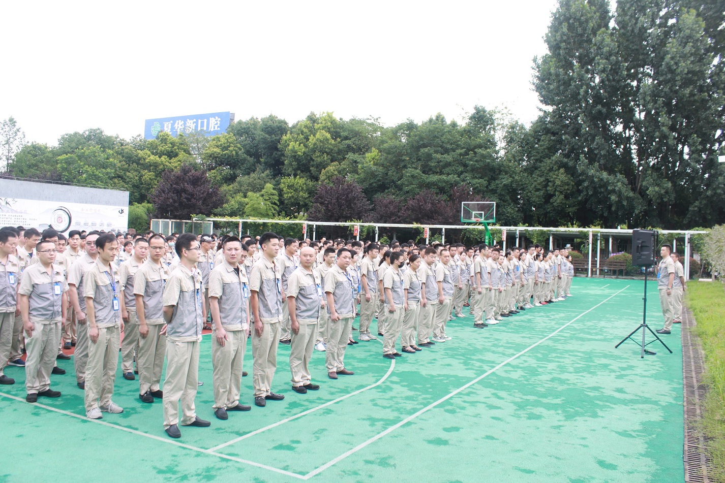 mg冰球突破(中国区)官方网站