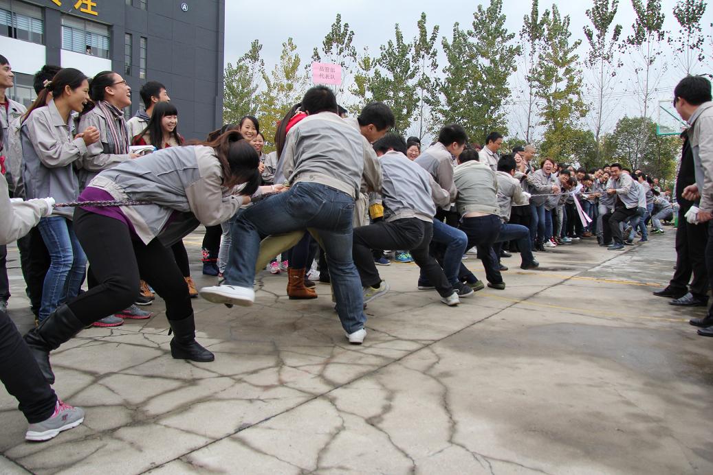 mg冰球突破(中国区)官方网站